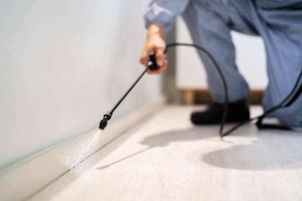 Certified termite inspector examining foundation in Fort Dodge