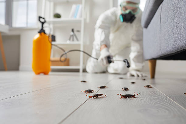 Commercial Kitchen Cockroach Control in Fort Dodge